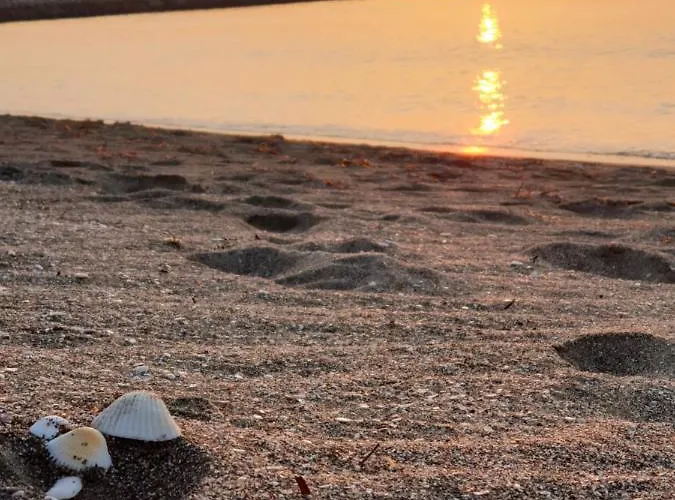 Хотел мирана Бургас